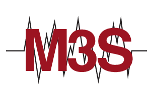 M3S